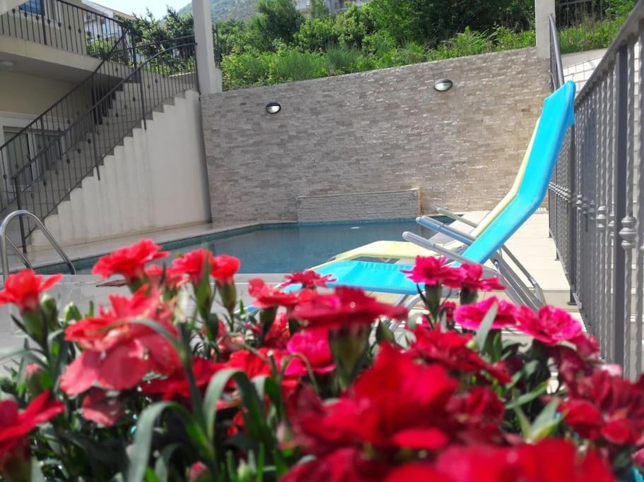 2Br Apartment With Pool Kotor Exterior photo